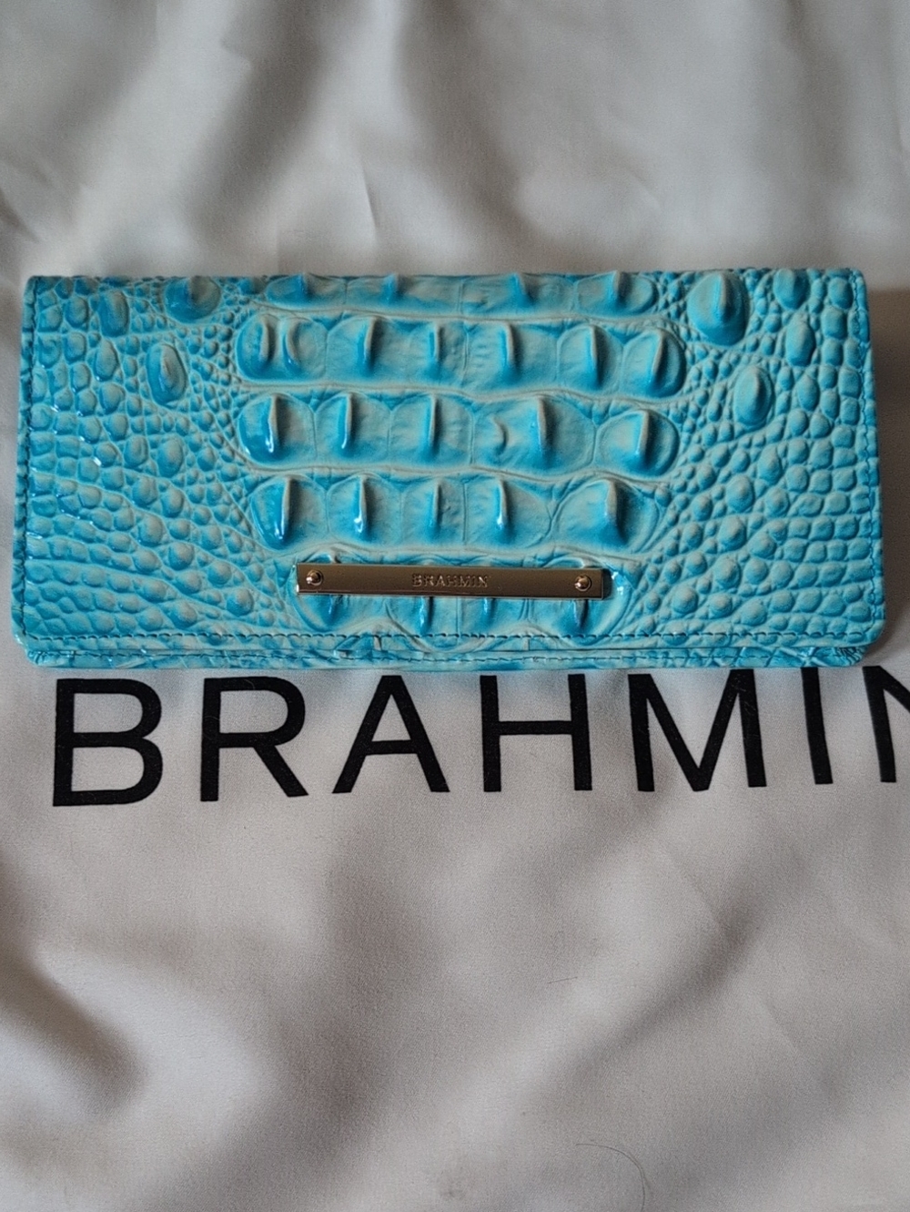 Brahmin Addy Sky Blue Wallet EUC